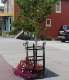 tree grates