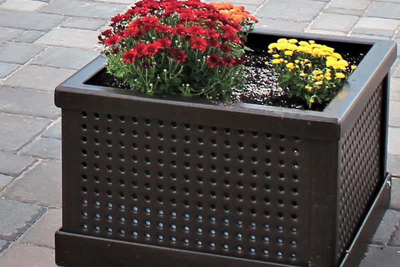 Premier Oct Article 2