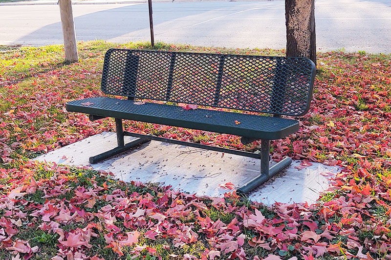 Premier Oct Article 3