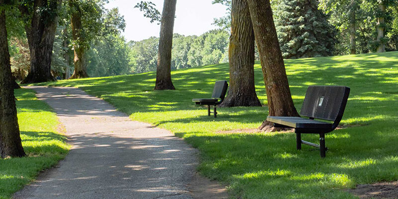 Park Bench’s Park Bench's